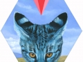 blue-cat-med