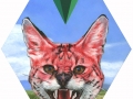 red-cat-med