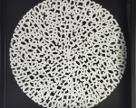 Concentric White 2017