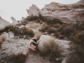 11x17 Pigment Print - Into The Wild - Vasquez Rocks - Idiviil 1 of 5 $500.jpg