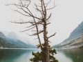 11x17 Pigment Print - The Rising Lands - St Marys Lake - 1 of 5 - $500