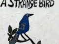 strangebird-copy