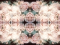 RufflesandRoses_EllenStagg