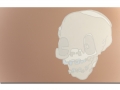 bradleyhoffer_oneeyewillie_forthcoming