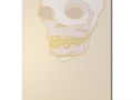 bradleyhoffer_walkendead_forthcoming