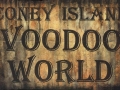 yamada-coney-island-voodoo-world-125x1975-acrylic-on-wood-panel-2006