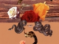 carl_e_smith_flora_fauna_ii_2