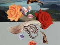 carl_e_smith_flora_fauna_ii_3