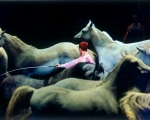 Sea_Of_Horses