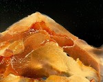 1_image_6483441