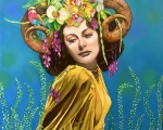Bond_Orchid_-Queen