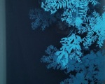 NightGazingBlueSilkscreenonAcylicSheet36x24223800