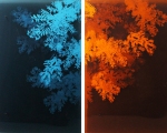 NightGazingDiptychOilonAcrylic36x48227600