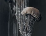 imageRL
