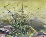 Home-FIrepit-1_gouache-on-paper-copy