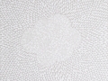 ces_contemporary_lola_dupre_uvas