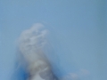 jaclyn_pakron_06