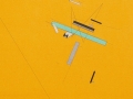 monci_yellow_crop