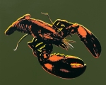 Lobster_1