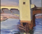 SharkRIver2