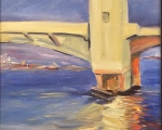 SharkRiver4