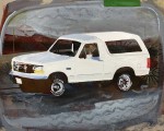 Andrew_Fish_WhiteBronco
