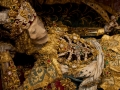358-heiligkreuztal-relic-1-chest-head-and-arm-4_0