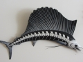 untitled_mmonsailfish