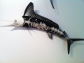 pc_marlin