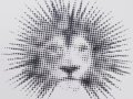 timthumb.php
