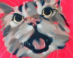 pussy-3-small