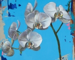 DavidPalmer_2016_Flowers15