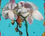 DavidPalmer_2018_Orchids2