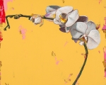 DavidPalmer_2018_Orchids3