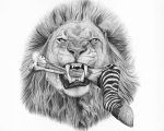 AfricanLion