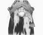 Otter_detail_1