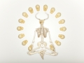 porkchop_relic_forthcoming