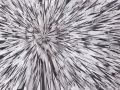 ces_contemporary_lola_dupre_exploded_evelyn_keyes