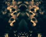 SkullRises