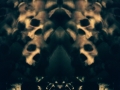 SkullRises