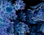 Jack_Indigo-crop2