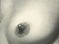 Handal_Gabriela_Nipplemap