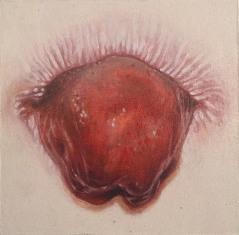 Winnel_PLHH_6x6_600