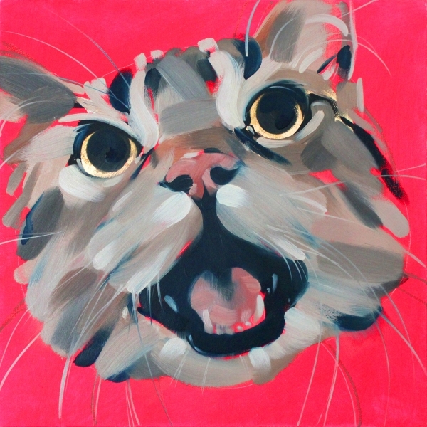pussy-3-small