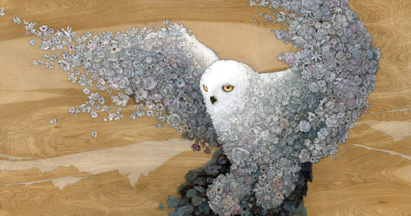 "Bloom" by Kyle Fisher