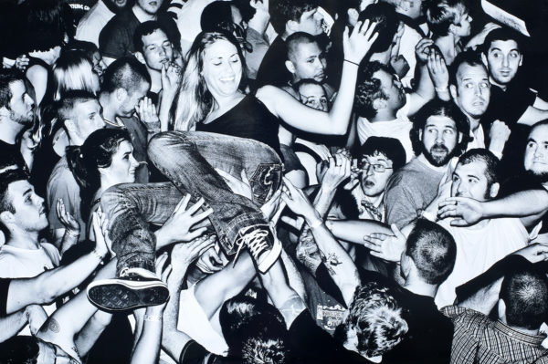In the Pit Series by Mike McLaughlin