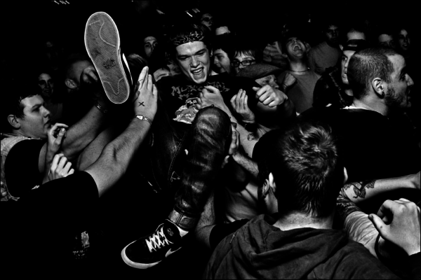 In the Pit Series by Mike McLaughlin